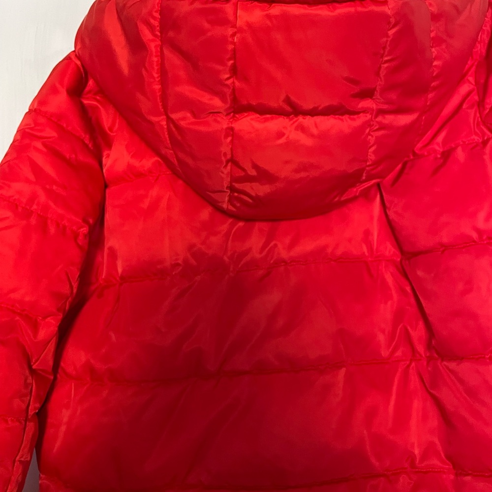 Puffer Jacket - Picture 7 of 8
